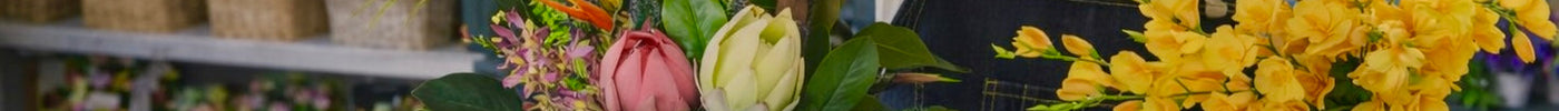 Why Majira Wilds® Matters