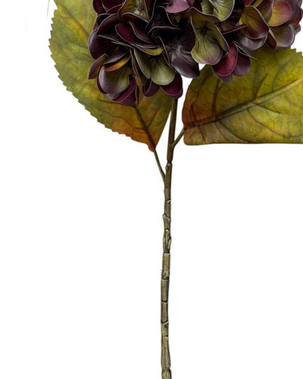 Warm Turn | Autumn Hydrangea Stem