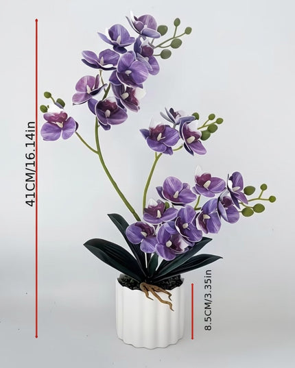 Majira Wilds® Petite Butterfly Orchid