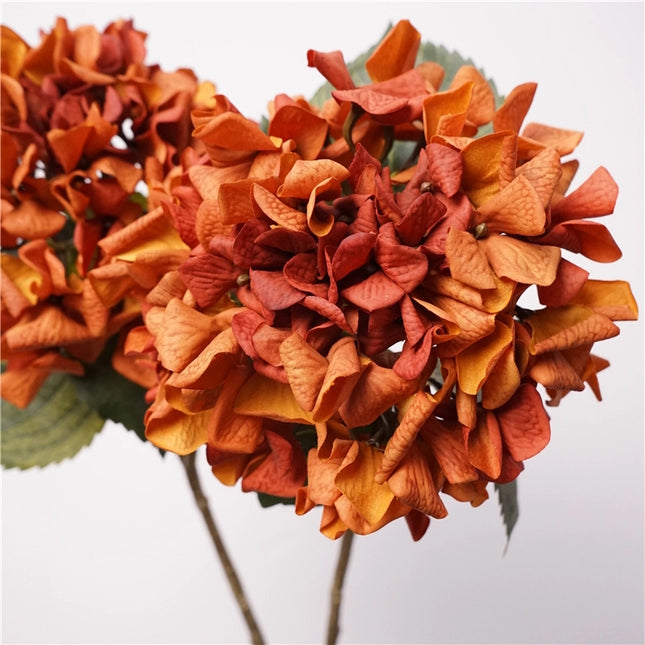 Fall Collection | Oversized Hydrangea Stem - RealTouch