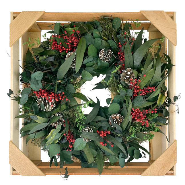 Snow Pinecone Holiday Wreath | Dried & Gathered™