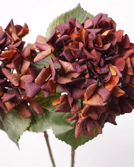 Full Bloom | Oversized Hydrangea Stem