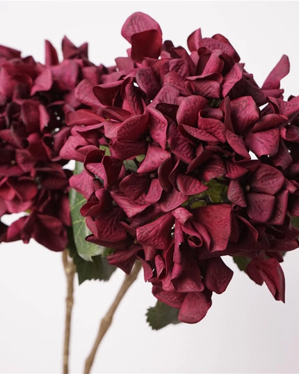 Full Bloom | Oversized Hydrangea Stem
