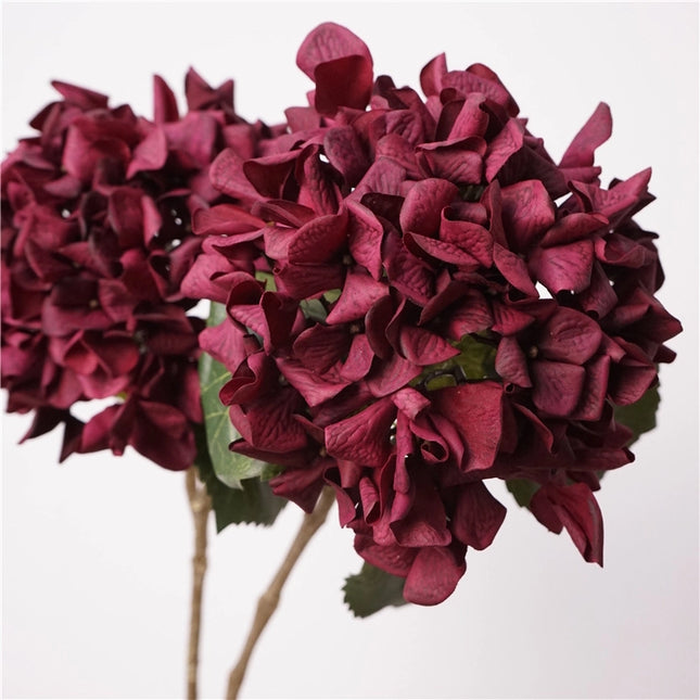Fall Collection | Oversized Hydrangea Stem - RealTouch