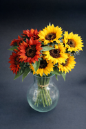 Faux-ever™ Floral Individual Stems