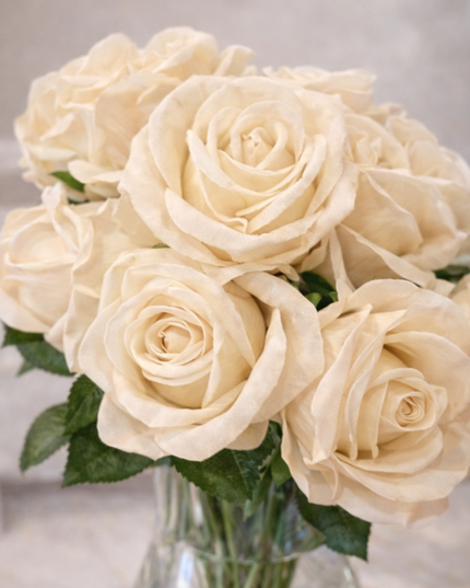 Forever, Wild™ Infused Roses