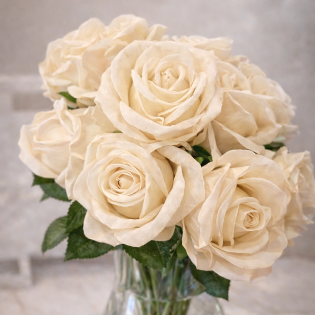 Forever, Wild™ Infused Roses