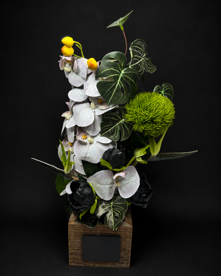 The Open Note | Keepsake Collection