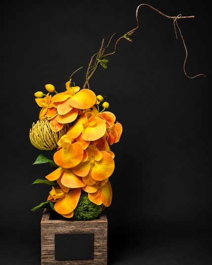 The Open Note | Keepsake Collection