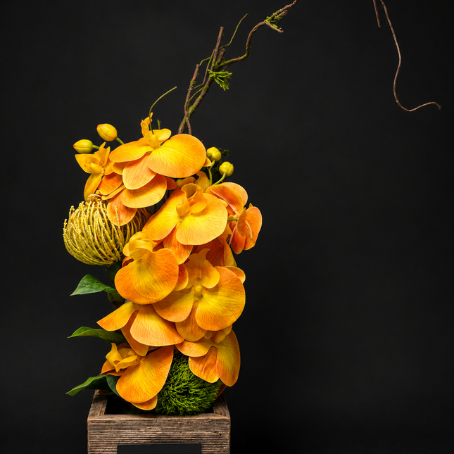 The Open Note | Keepsake Collection