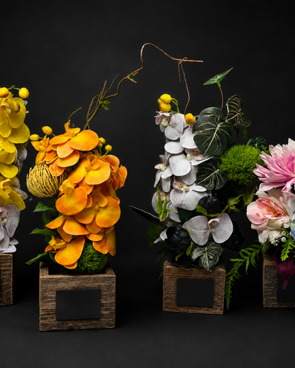 The Open Note | Keepsake Collection