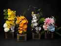 The Keepsake Collection