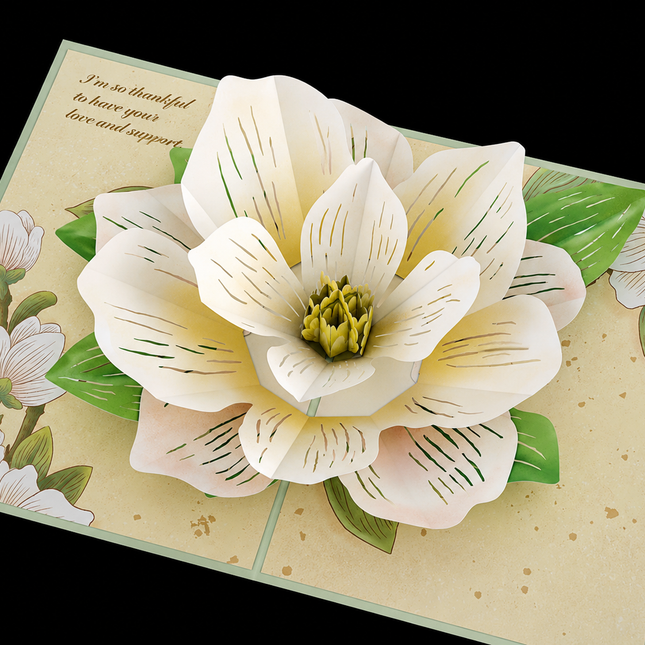 Lovepop® Pop-Up Cards — 5×7"