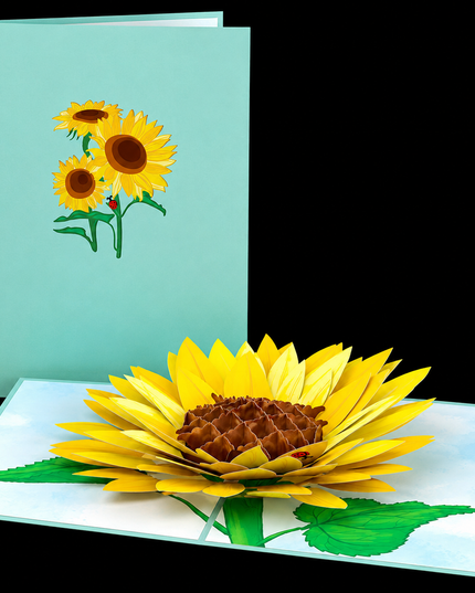 Lovepop® Pop-Up Cards — 5×7"