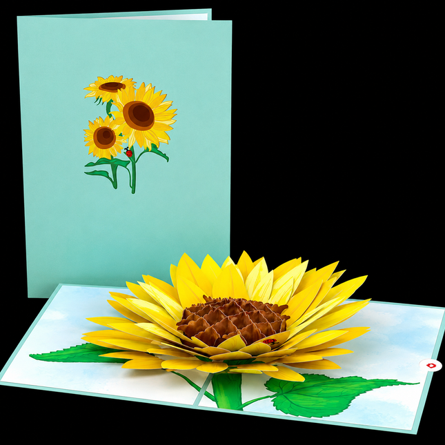 Lovepop® Pop-Up Cards — 5×7"