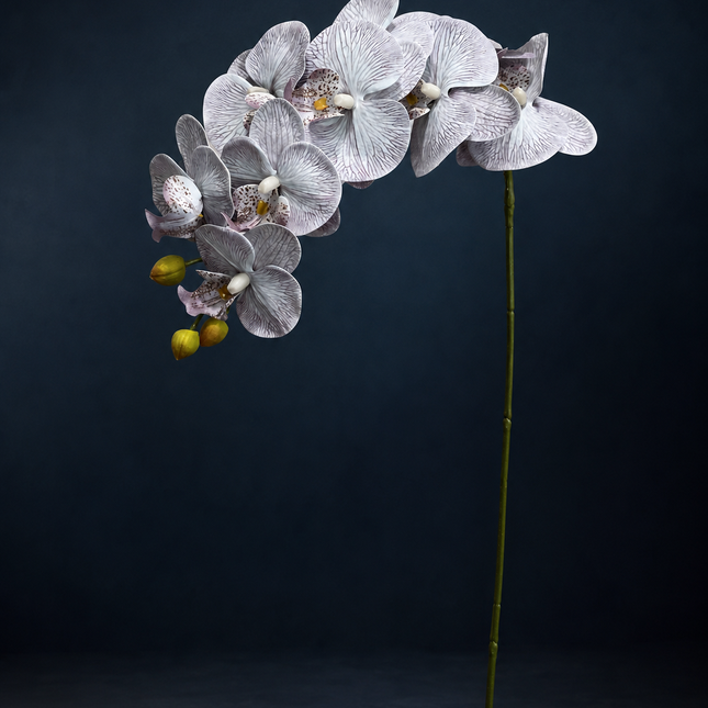 36" Real Touch Phalaenopsis Orchid