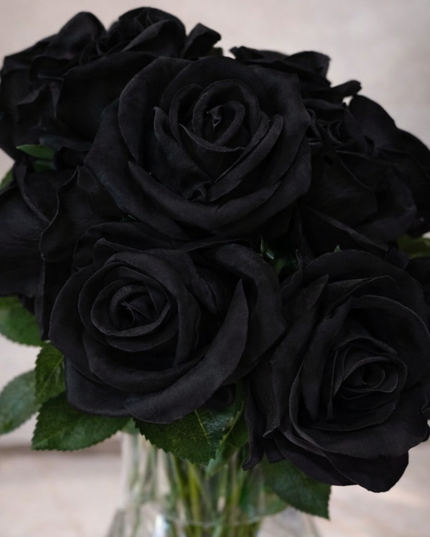 Forever, Wild™ Infused Roses