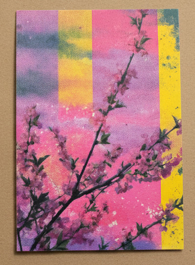 Majira Wilds® Psychedelic Bloom Greeting Cards