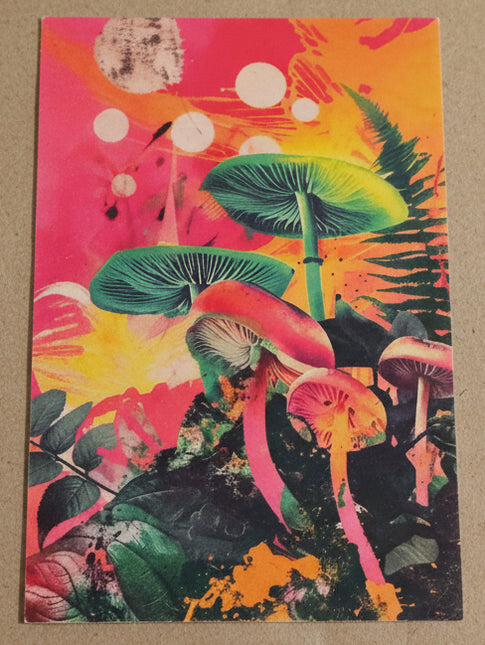 Majira Wilds® Psychedelic Bloom Greeting Cards