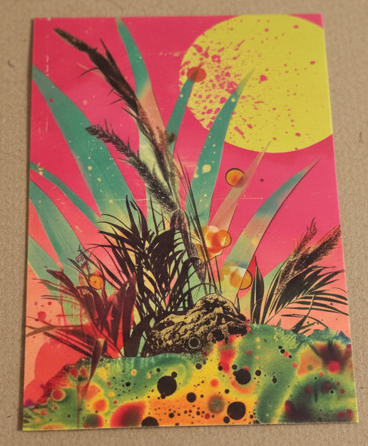 Majira Wilds® Psychedelic Bloom Greeting Cards