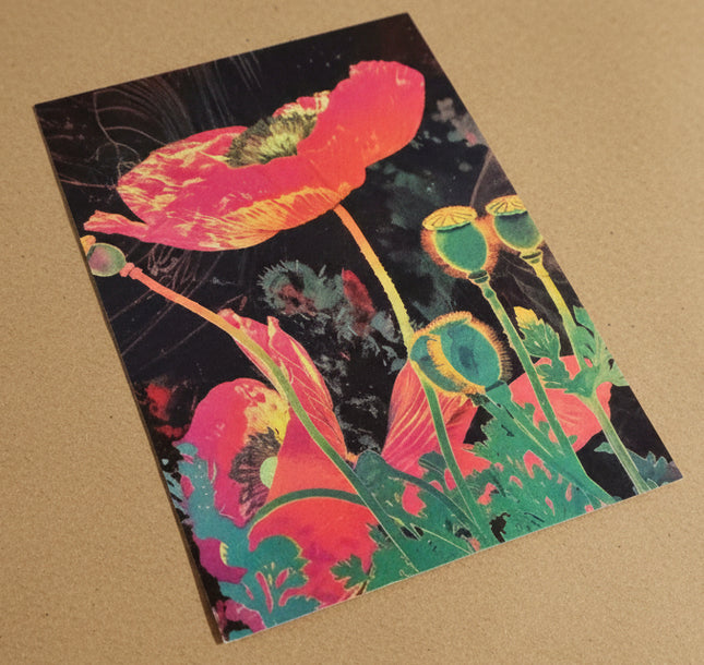 Majira Wilds® Psychedelic Bloom Greeting Cards