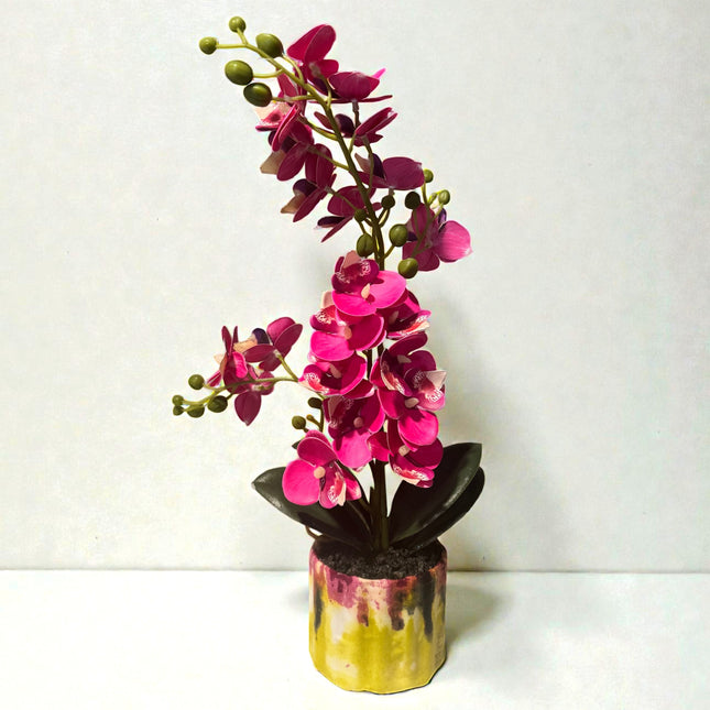 Majira Wilds® Petite Butterfly Orchid | Heritage Edition