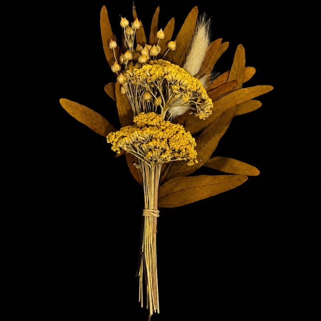 Dried & Gathered™ - Botanical Bundles | Medium