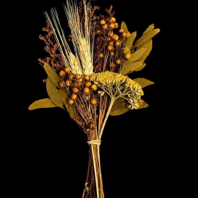 Dried & Gathered™ - Botanical Bundles | Medium