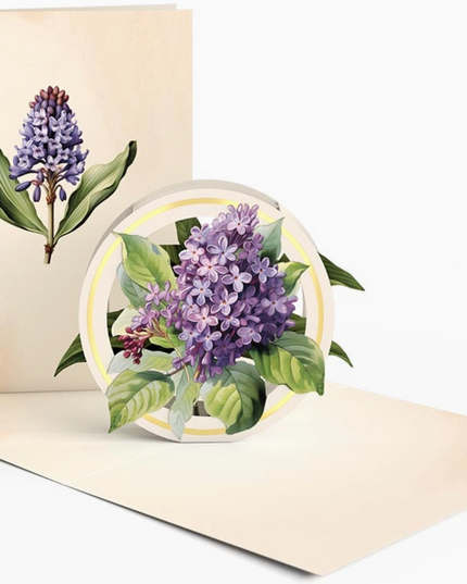 Beautiful Botanicals Pop-Up Cards - 4x6"