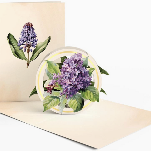 Beautiful Botanicals Pop-Up Cards - 4x6"
