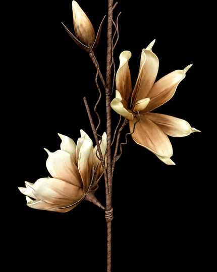 White + Almond Bloom | Statement Stem