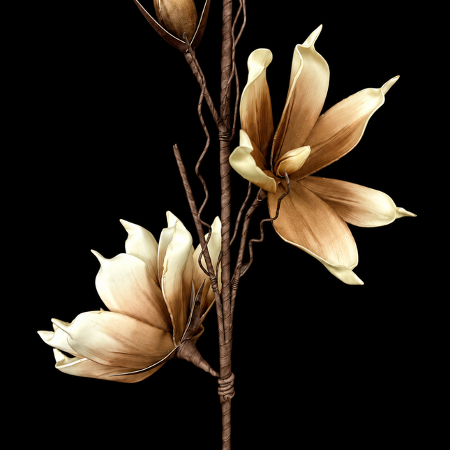 White + Almond Bloom | Statement Stem