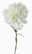 Natural White