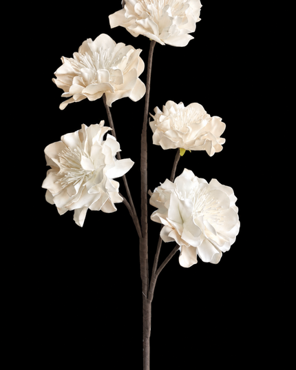 Soft Apricot Flower | Statement Stem