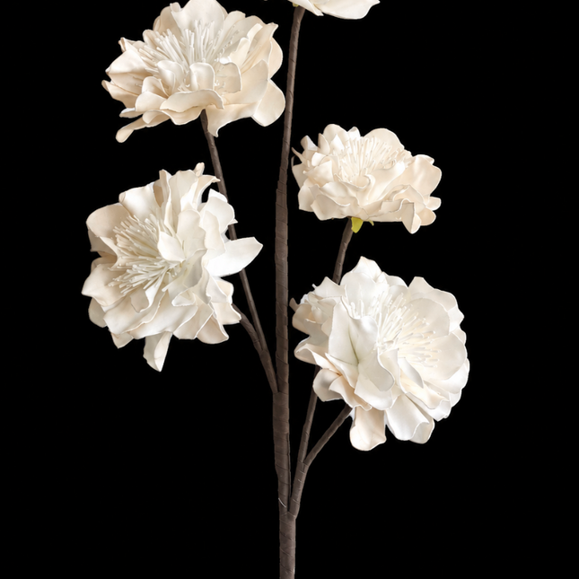 Soft Apricot Flower | Statement Stem