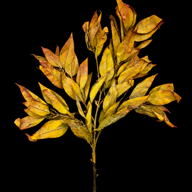 Harvest Leaves | Statement Stem