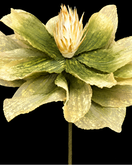 Pear Linen Bloom | Statement Stem