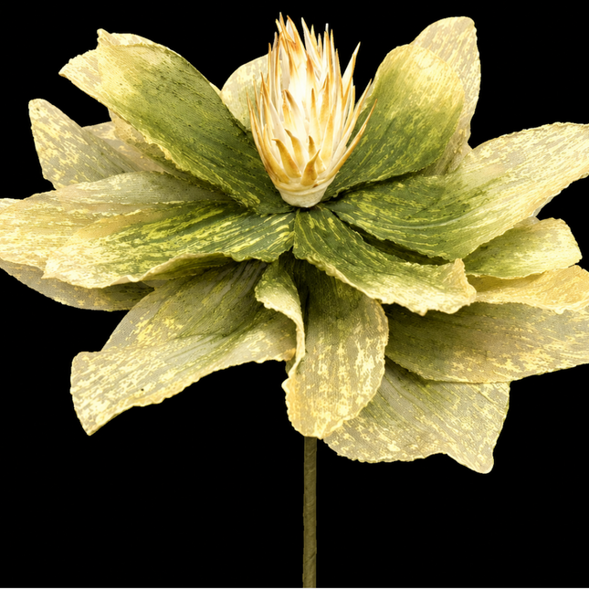 Pear Linen Bloom | Statement Stem