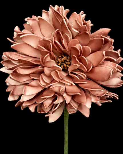 Blush Pink Mum 25" | Statement Stem