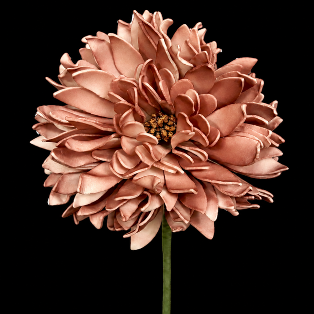 Blush Pink Mum 25" | Statement Stem