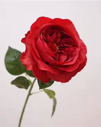 18" Red Juliet Rose Stem (Real-Touch)