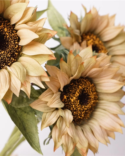 27.5" Moisturized Real Touch Sunflower Stem (Real-Touch)