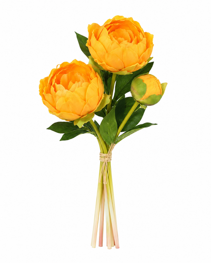 Soft Weight | Peony Bundle
