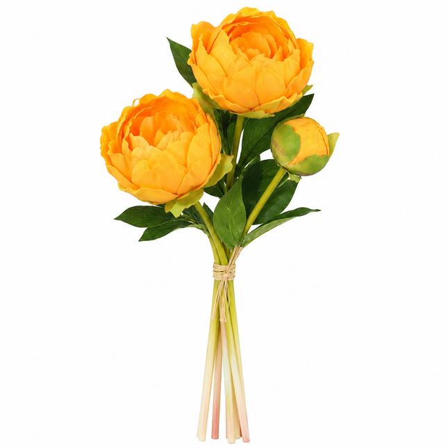Soft Weight | Peony Bundle