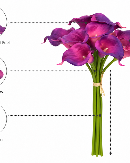 Fuchsia Purple Calla Lily
