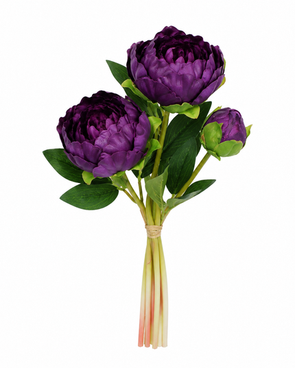 Soft Weight | Peony Bundle