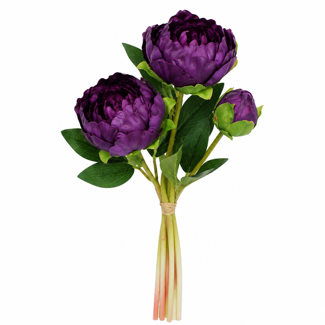 Soft Weight | Peony Bundle