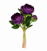 Rich Purple