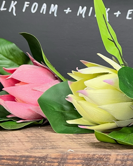 21"Quality Artificial King Protea Cynaroides-Real Touch Leaf