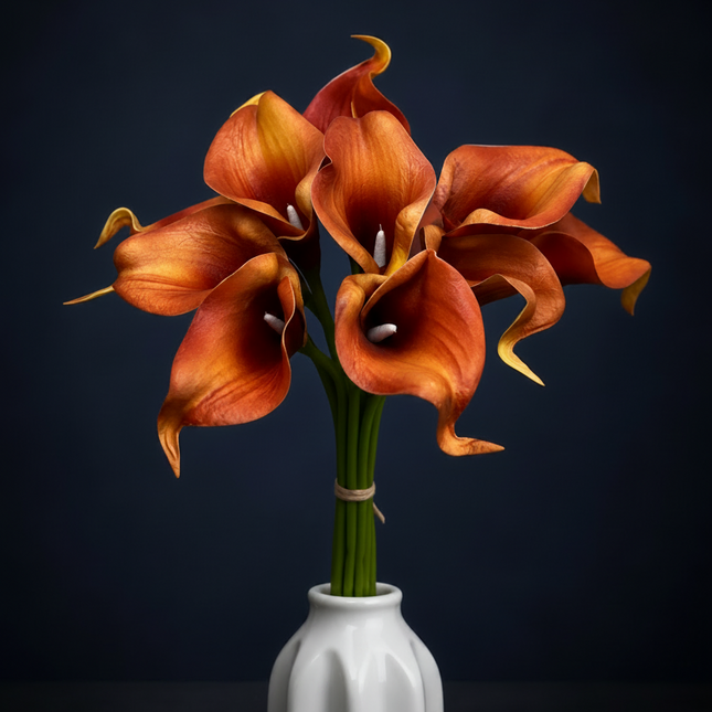 Orange calla lilies arranged in a small white ceramic vase against a dark navy background.